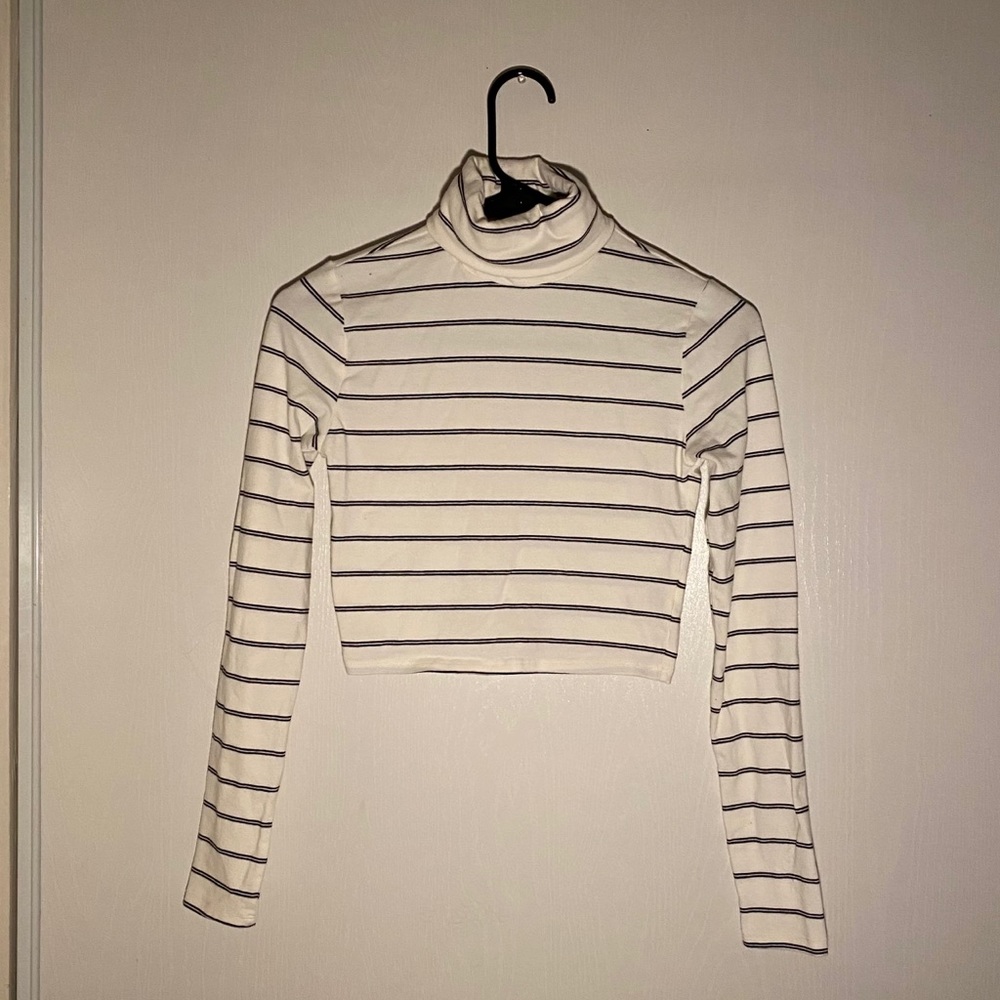 Cropped Striped Turtle Neck
